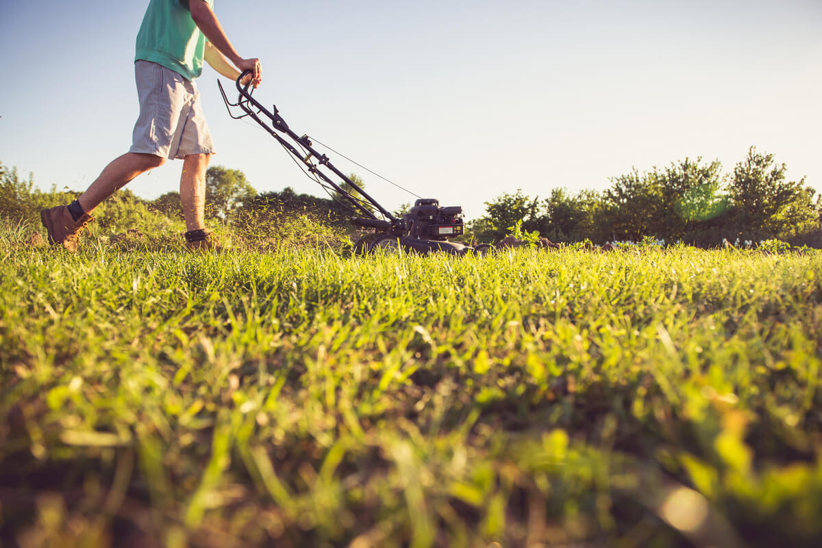 Yard Work Image