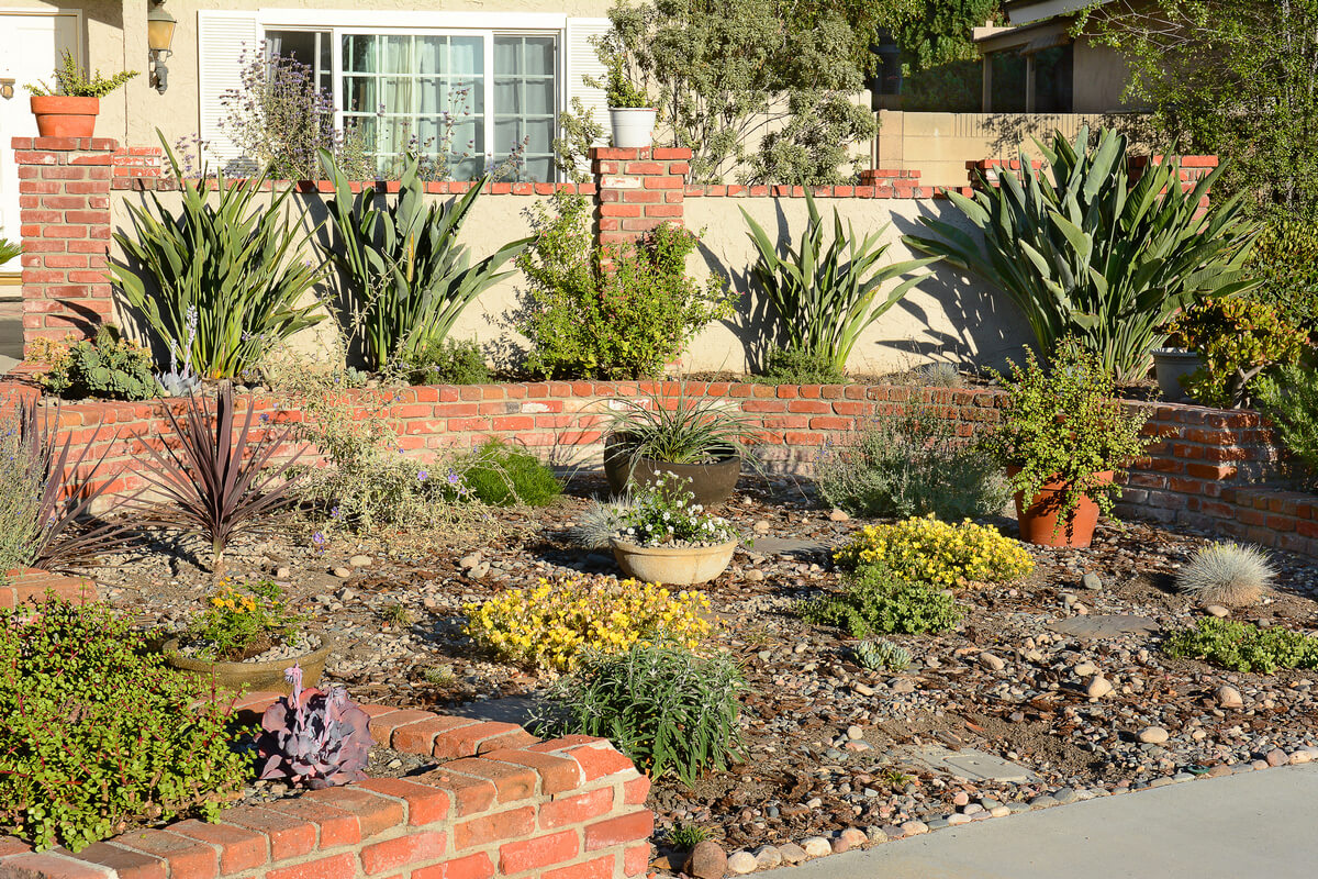 Plant Native Plants