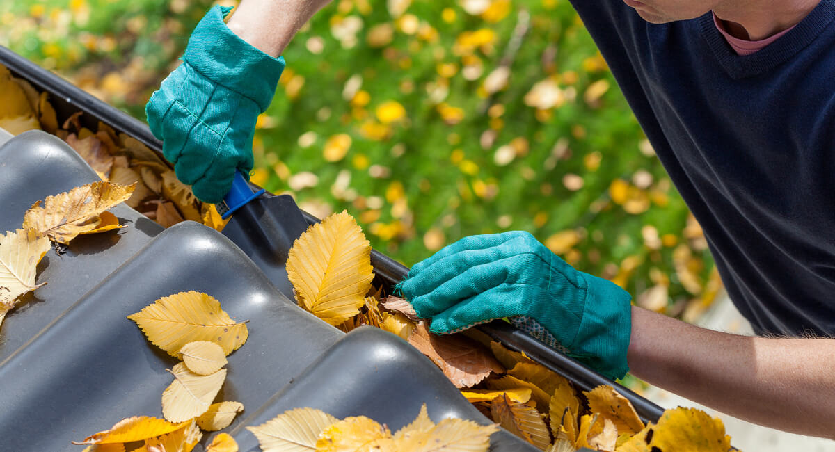 Clean Out the Gutters