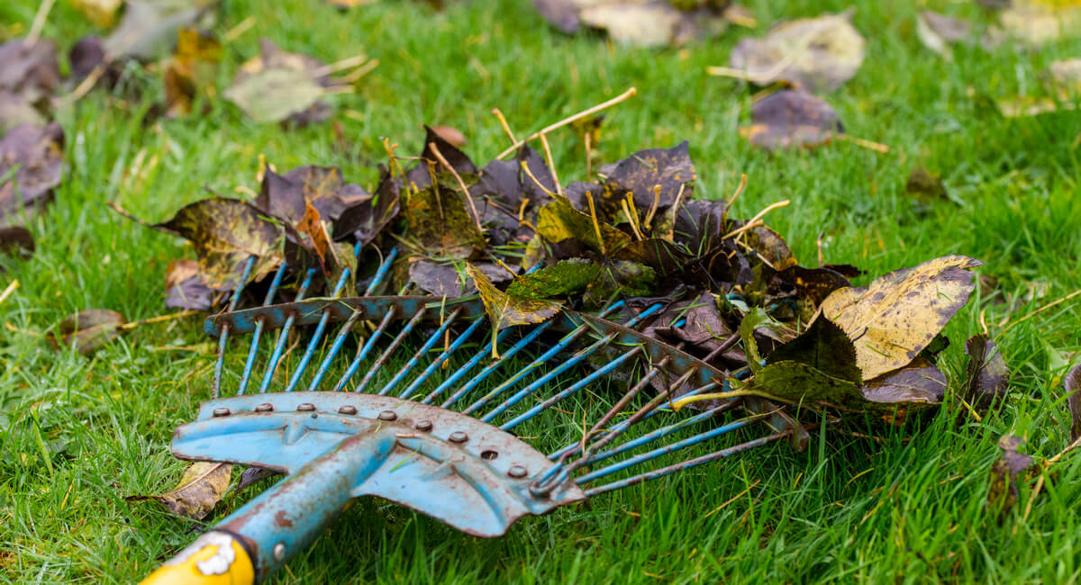 Clear Debris From the Lawn and Garden