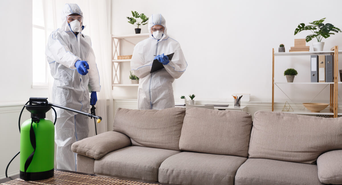 Protecting Your Home From Pests