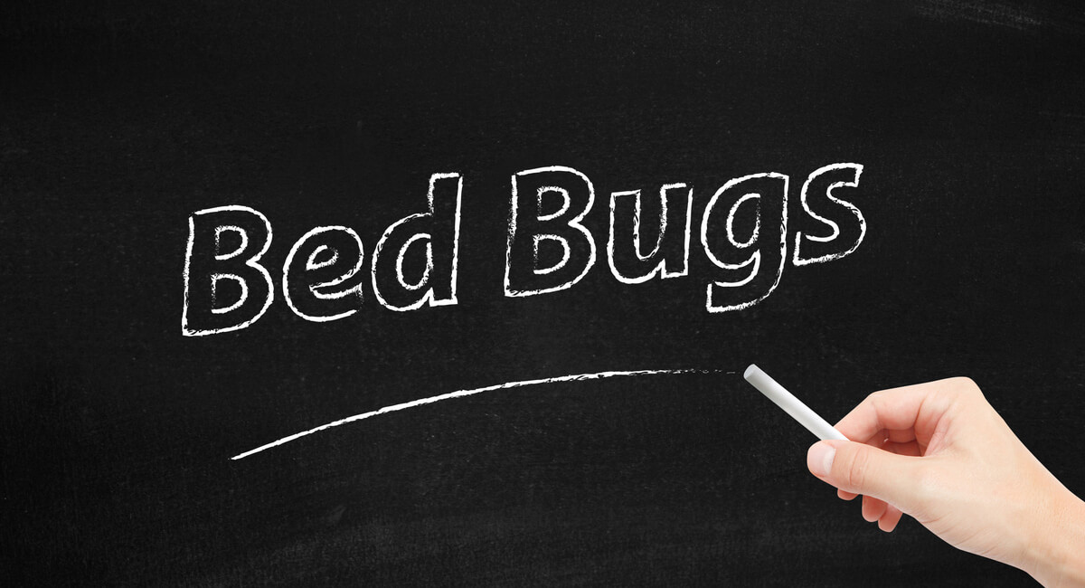 Is there a history of bed bugs
