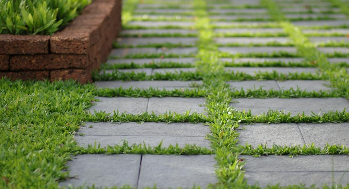 Stone Walkways