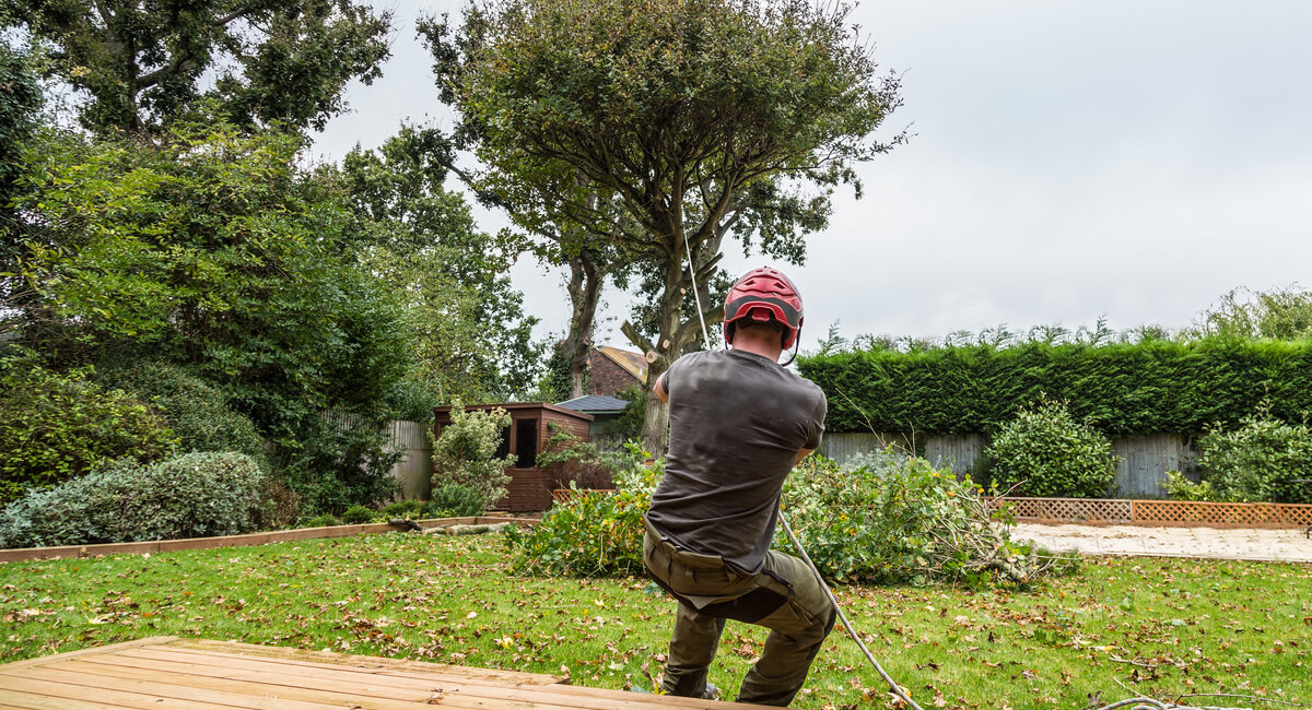 Prune Heavy Branches